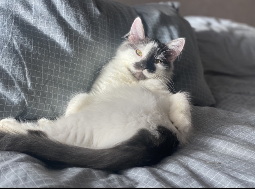 IMG-53359a1f3fa8930c498c7febe8c3d22c-V