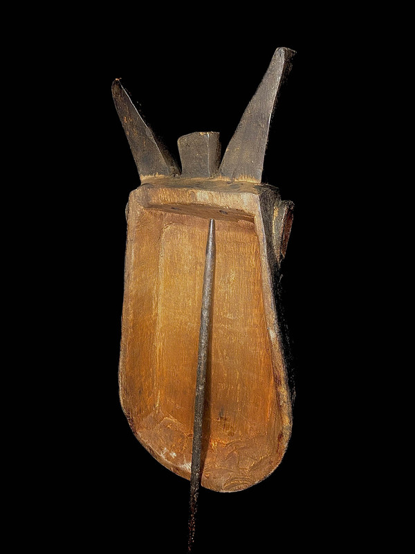 large image 2