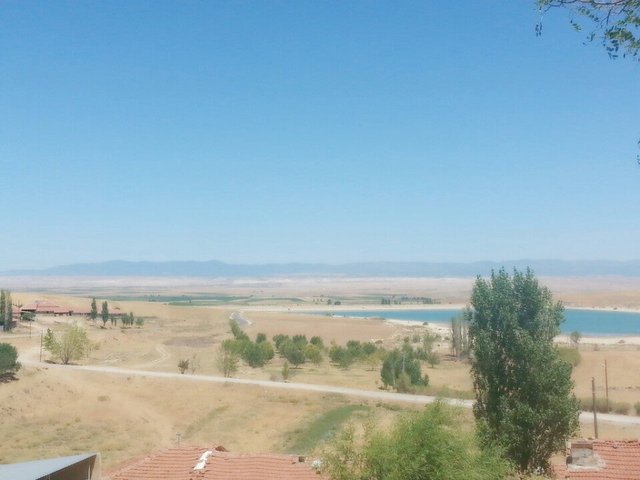 2023-04-02 kosmat photo 2 56099827_VDw166M2nTFH2Z_w8rBOdEi_0pGX9e_ezxdkJI2ggsQ