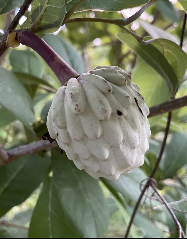 661696B7-F82C-4E7C-A7C9-D9ACA430AB8D