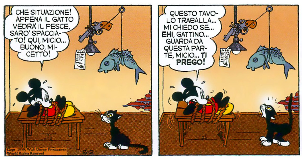 20250513-macchia-nera-trappola-gatto02