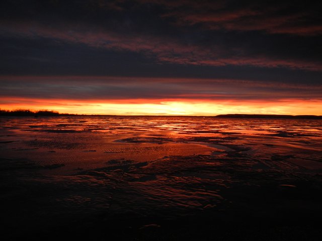 DSCN0553