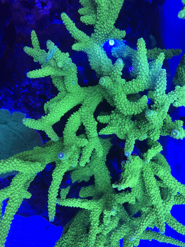 E6354E98-0EDA-4F33-B848-6551AB545CDE