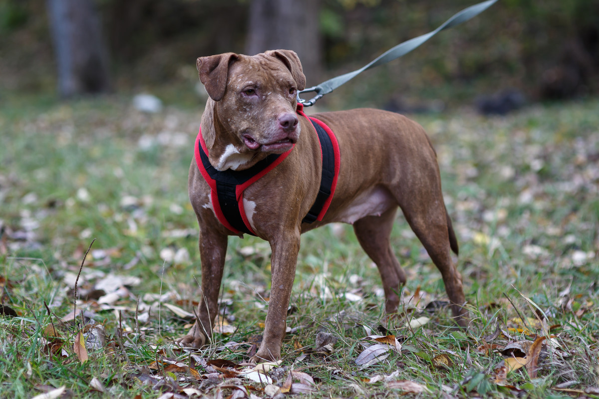 EE30AAC1-E6E6-427B-9222-73AF276F785C