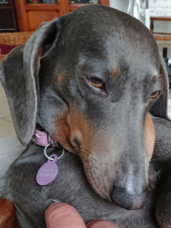 [Image: DSC-3268.jpg]