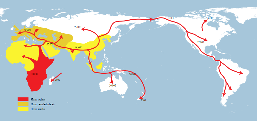 map-of-homo-sapiens-migration-6605.png