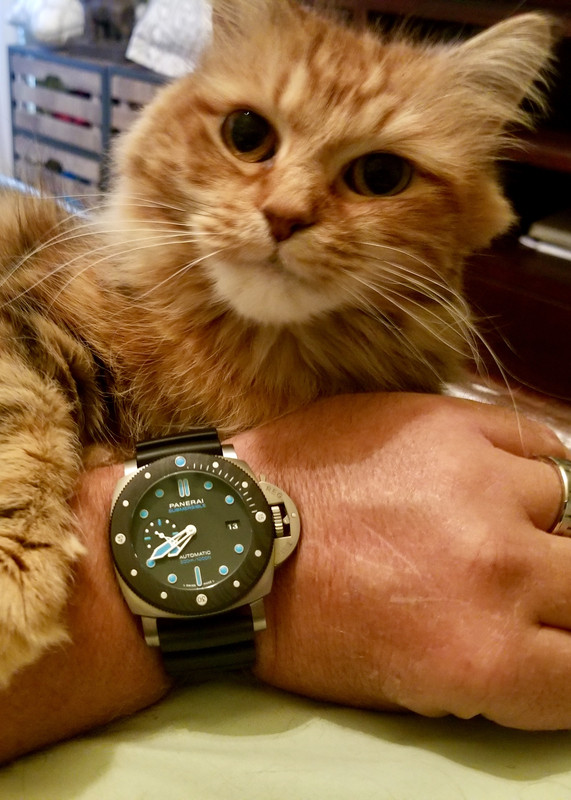 54F9BE3F-E8EA-4377-B9D4-53F9517603A5