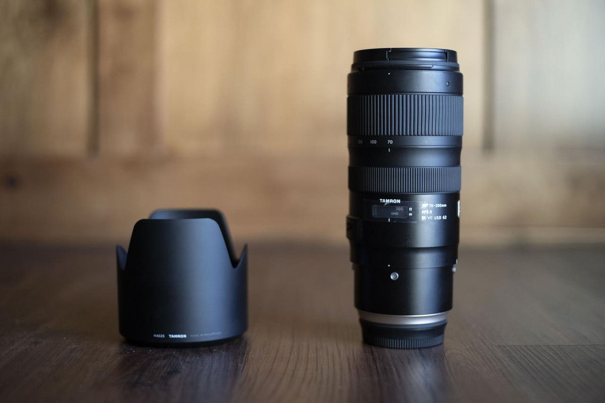 IMAGE: https://i.postimg.cc/WznzNz96/DSC01088.jpg