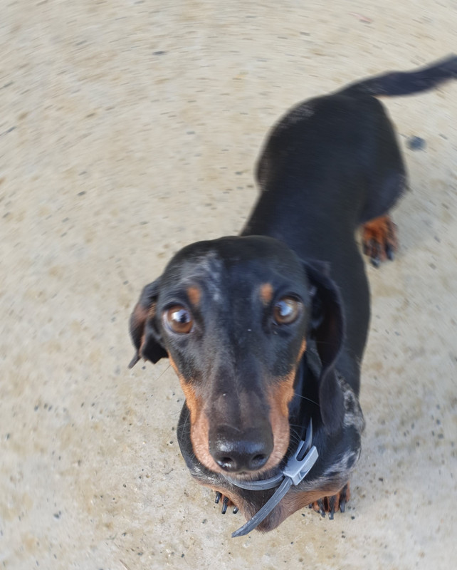 [Image: 20221025-114541.jpg]