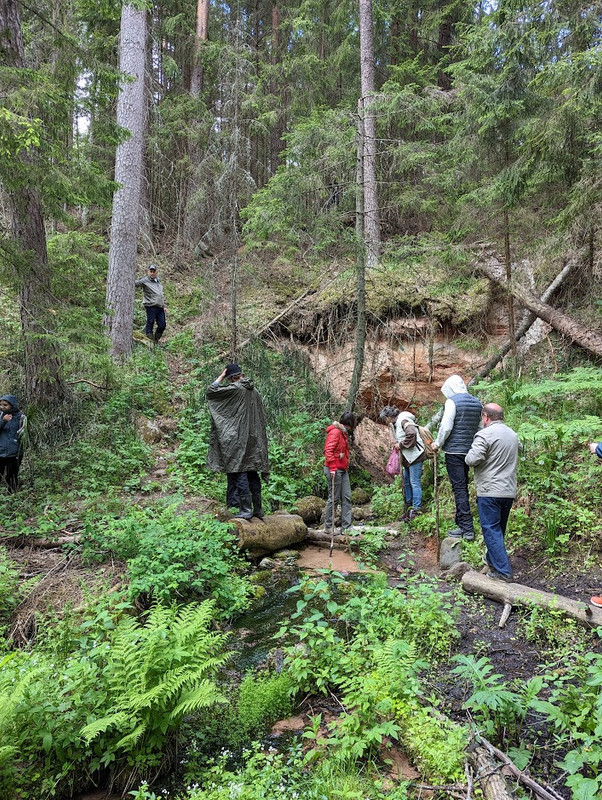 PXL_20230603_115238888