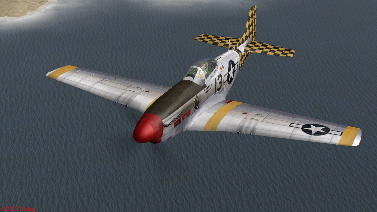 P-51 checkertail