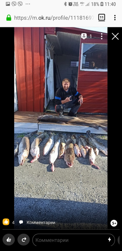 Screenshot_20200729-114003_Firefox