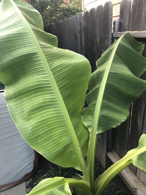 F95CFA49-DBBB-4961-A00D-E742FE4DB433