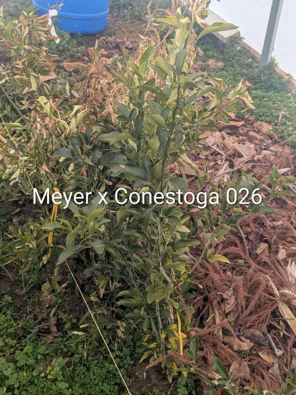 PXL 20260220 172851464 2