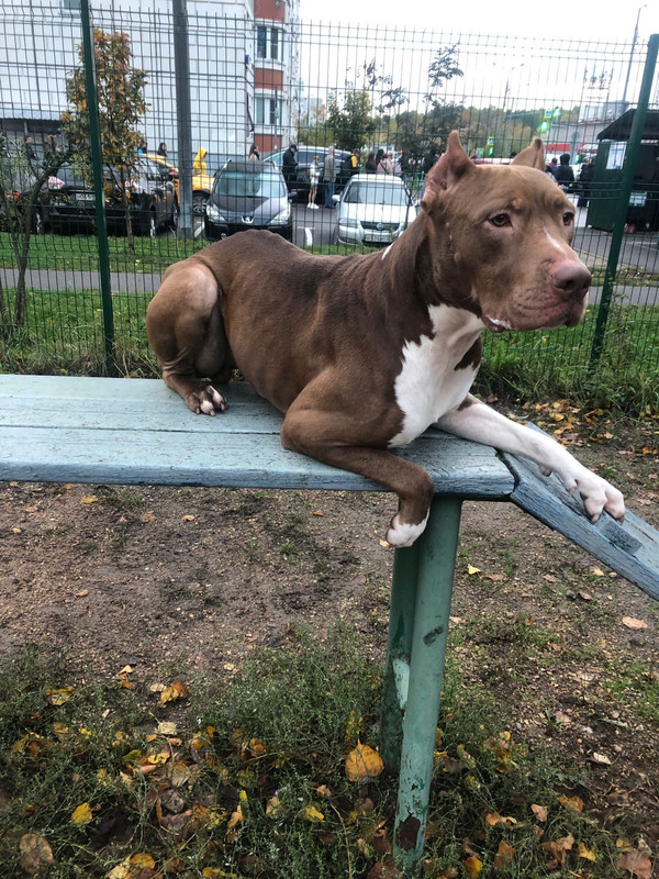 E9CE632C-CC3C-42F2-B7DC-BEC6AA0272F8