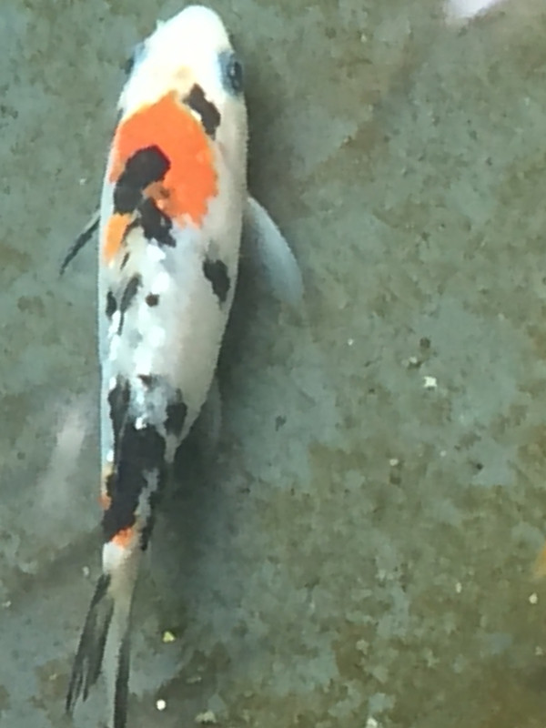 CABCD26C-DB1E-4EA0-BEED-794A1729D702