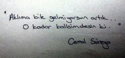[Imagen: Cemal-S-reya.jpg]