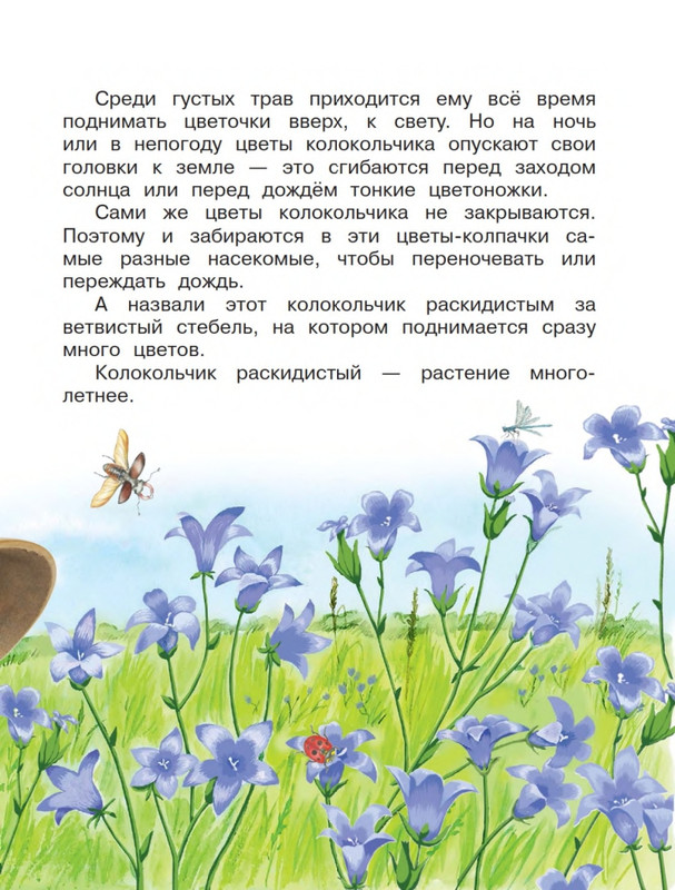 Onegov-Anatolij-Pochemu-kukushka-slozki-lot-page-0038