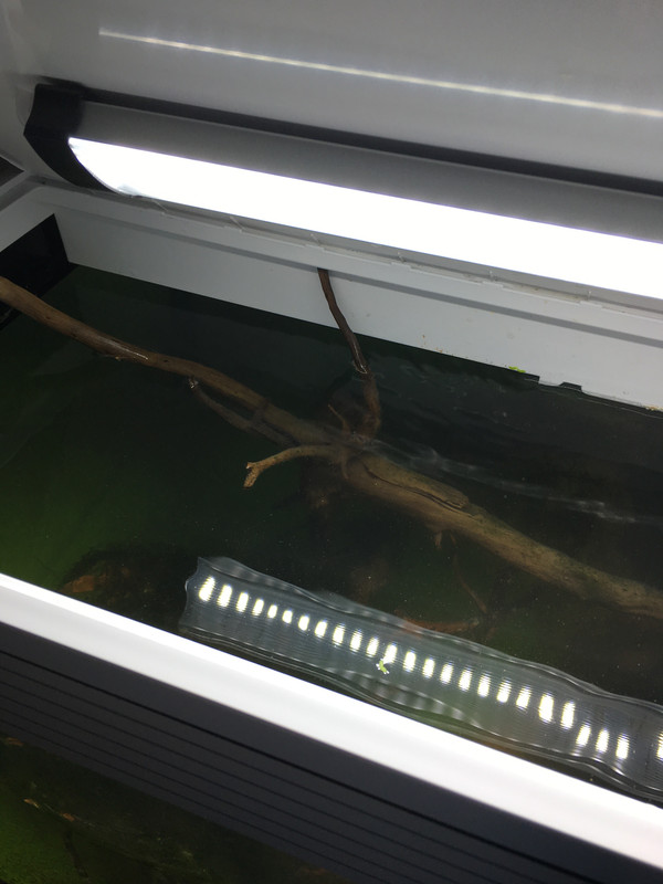 9FDF1C27-E68F-482E-9C47-0C7B908A08D6