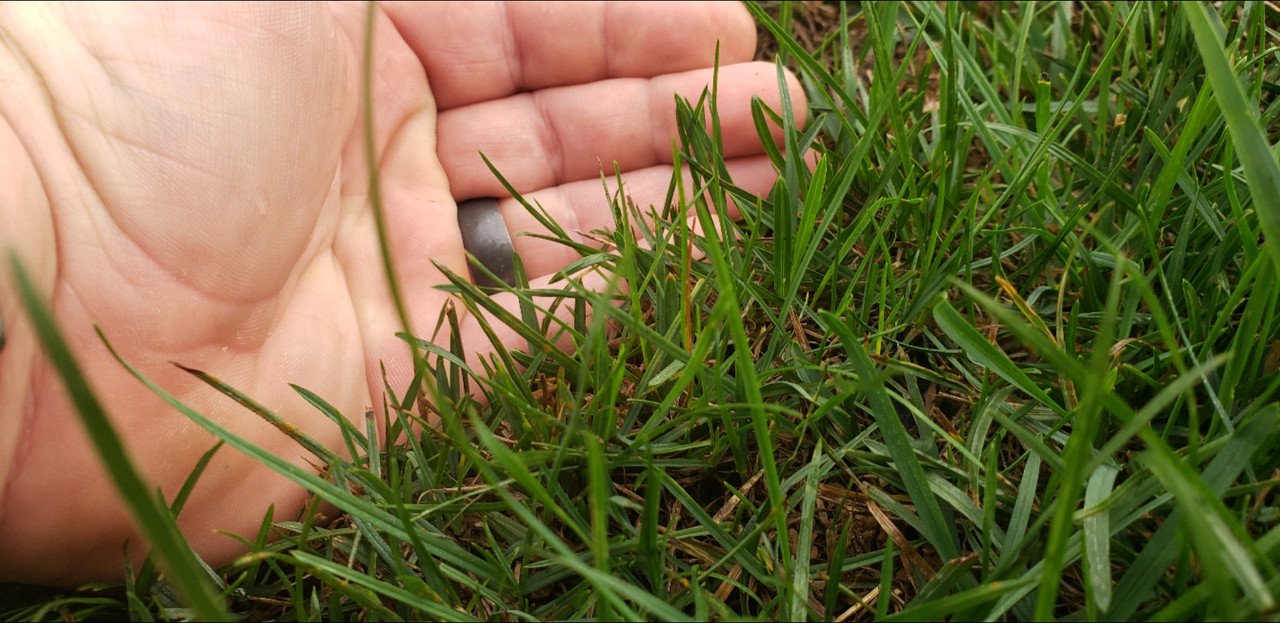 Screenshot_20210813-142843_Gmail