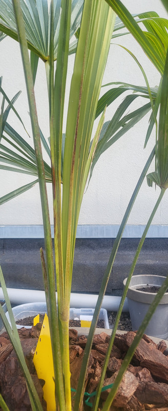 17433400468327669518999343705038