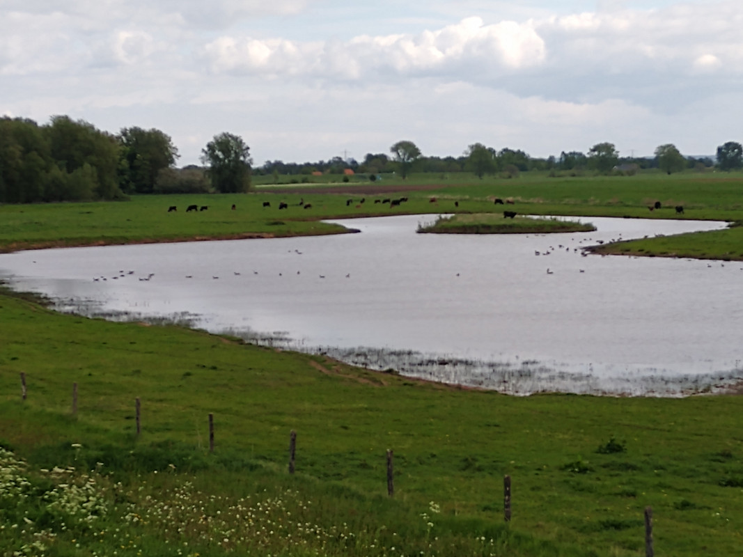 IMG_20190503_121021945