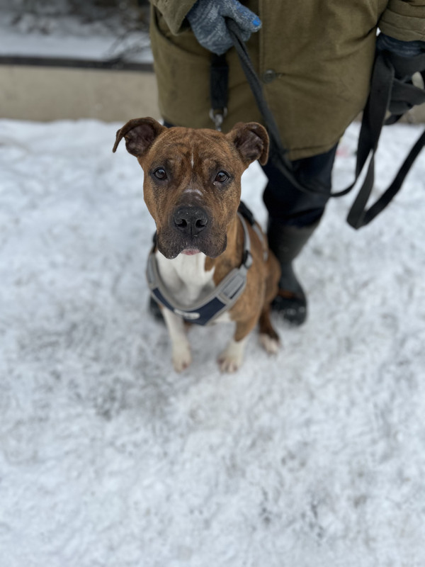 F8B40250-A4A8-4663-BE47-A212A447B63A