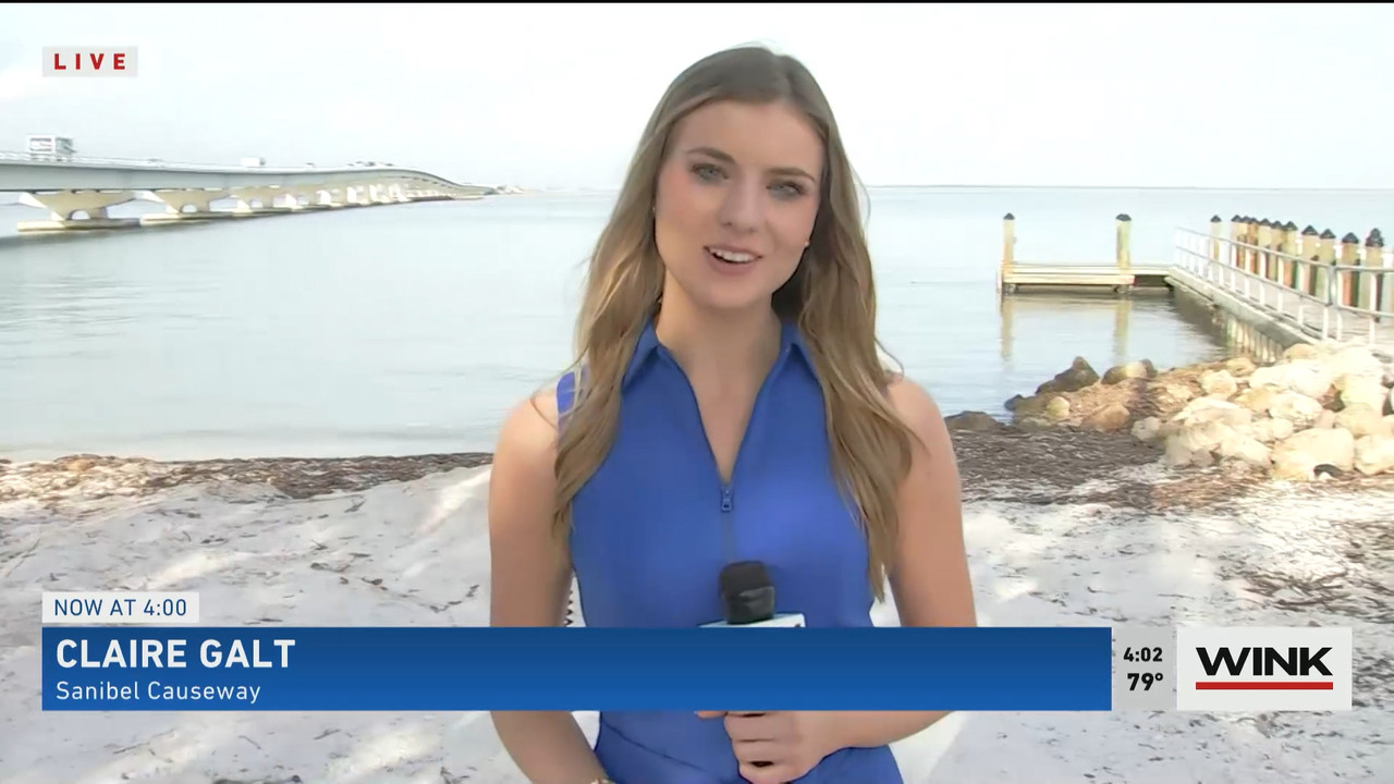 01.05 - 20.00.00 - WINK News at 3pm  ᴺᵉʷ..ts_snapshot_01.09.17.198