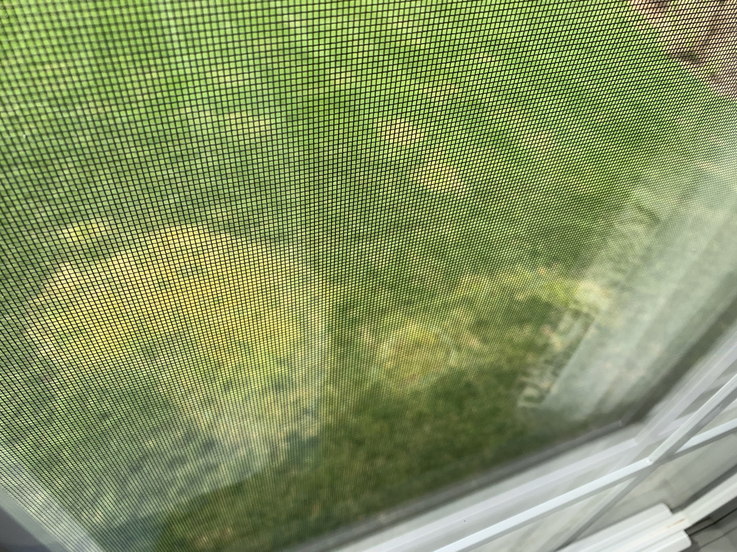 Photo Apr 08, 2 46 03 PM