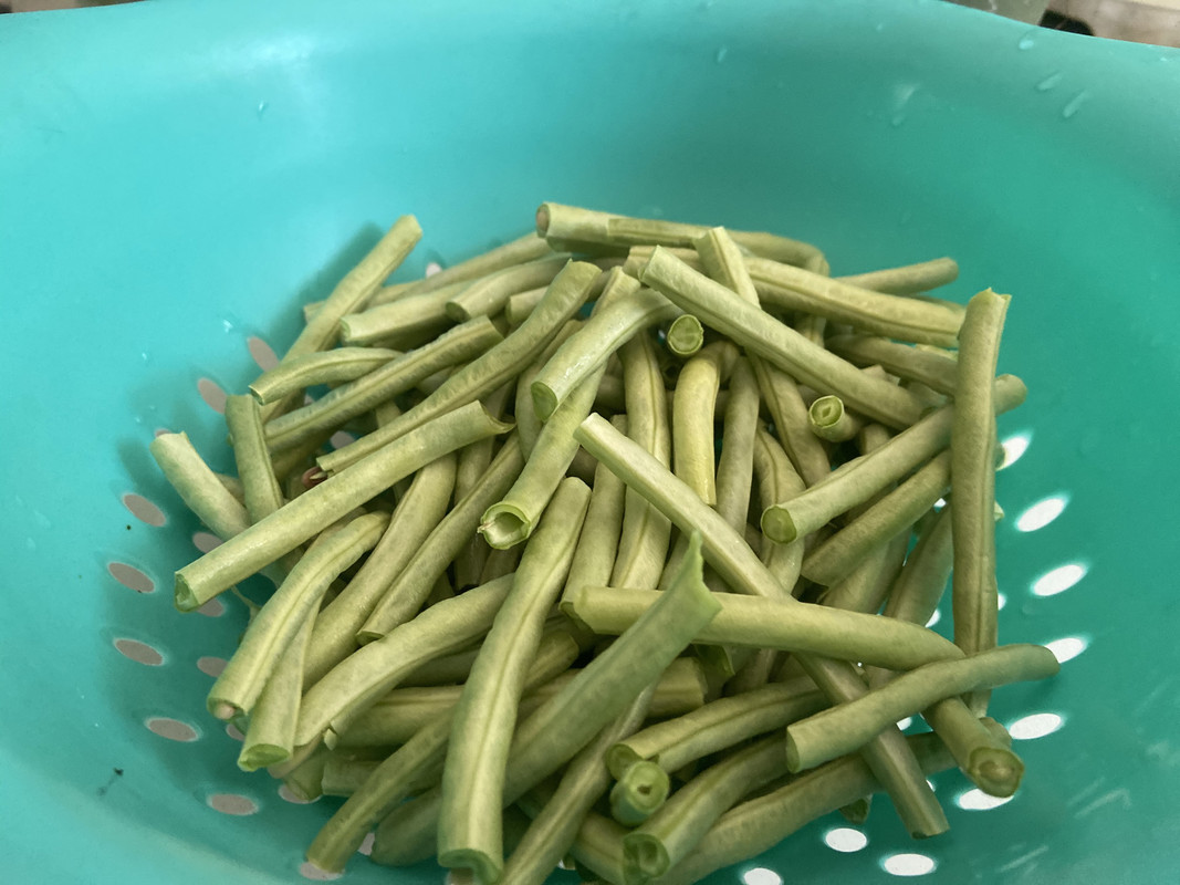 13B5057A-1F7C-499D-A1FE-195E33EAED08