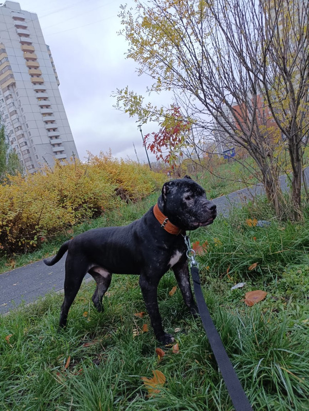 C07F1919-5D48-4967-BE52-D774D7AD5258