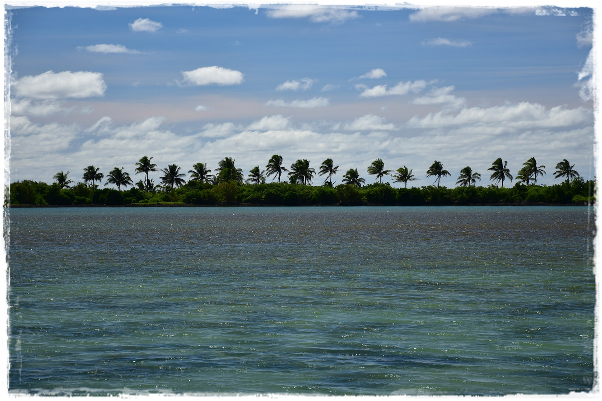 Días 3-4. Savai’i: costa norte - Talofa! Samoa, una perla en el Pacífico (9)