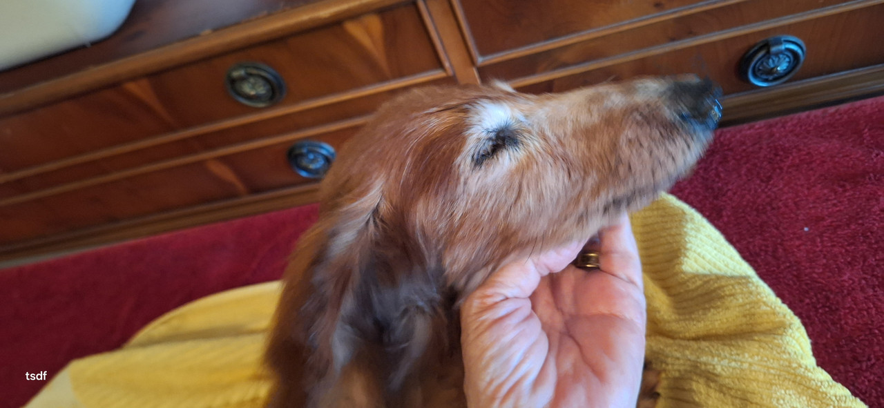 [Image: 20250719-100908.jpg]