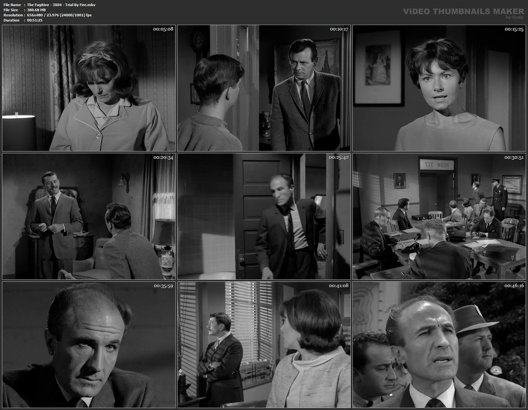The Fugitive - 3X04 - Trial By Fire.mkv