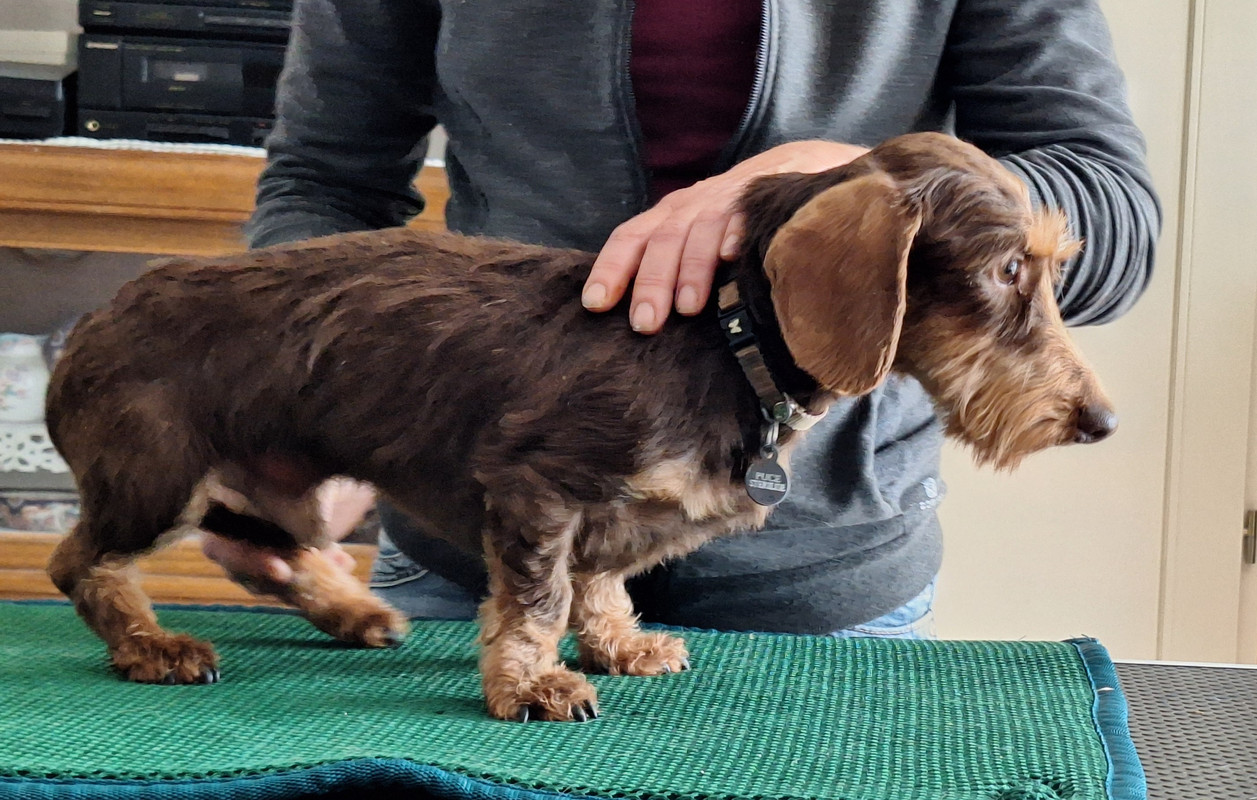 [Image: 20240702-163911.jpg]