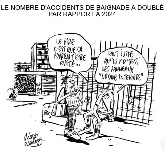 text alternatif