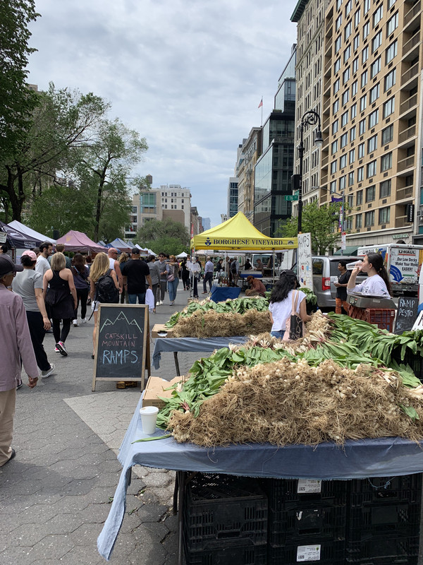 0D2441BB-AFE9-45B5-AE9E-DAC1957F6EC9