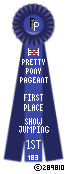 Show-Jumping-183-Blue.png