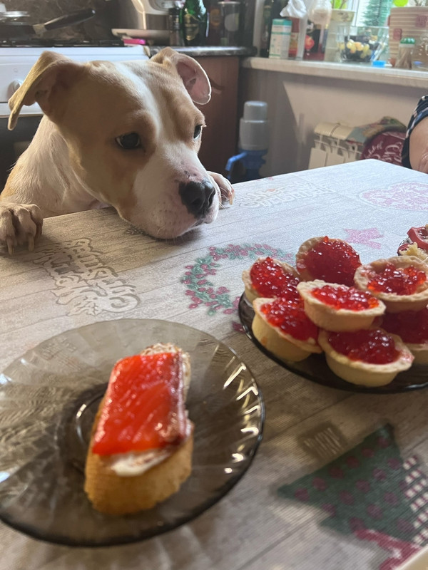 04337D04-5FD8-49A5-9DFE-38216601619C