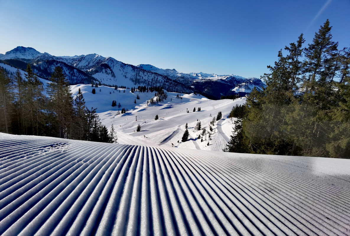 IMG_20220311_074316_edit_15251412747672