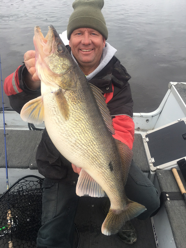 Walleye 3 19