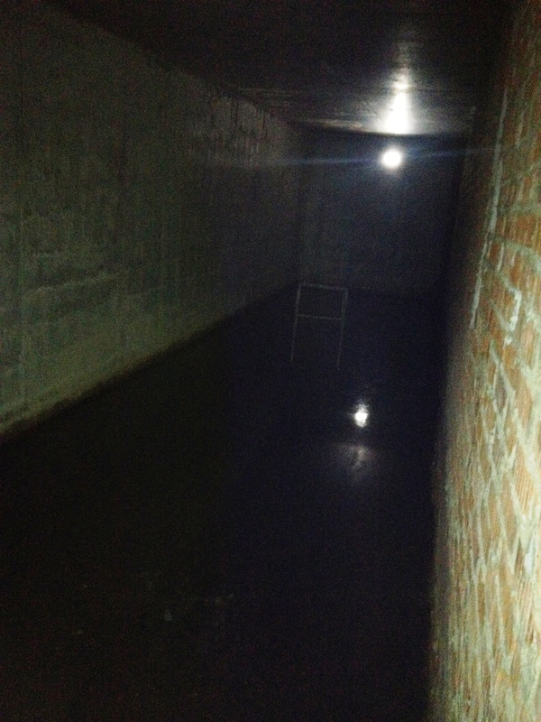 Изображение 016