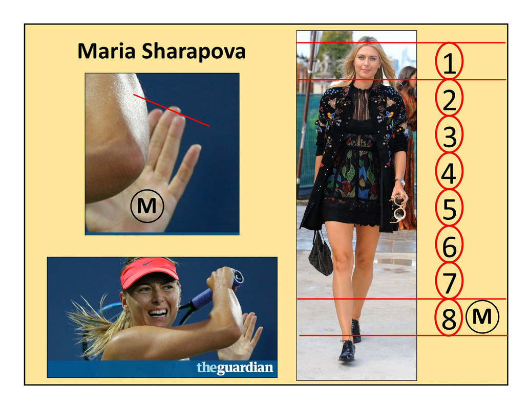 sharapova-trans-345634.jpg