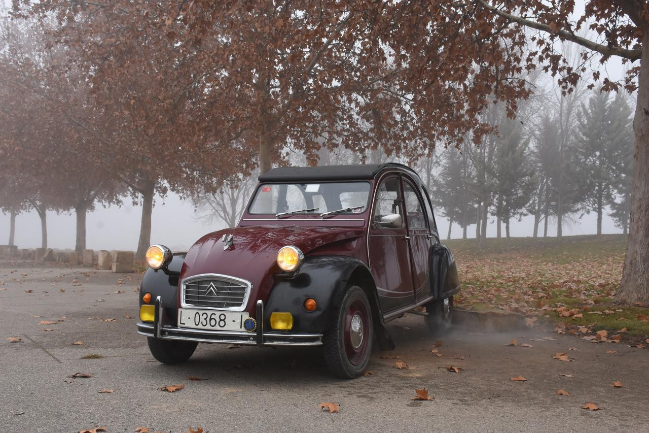 CITROEN 2CV CHARLESTON BOIRA (21)