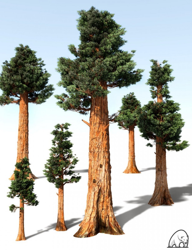 00 main giant sequoia by am daz3d