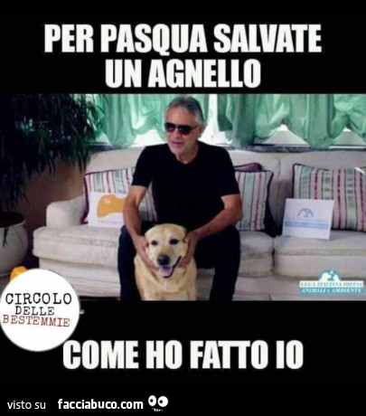 Immagine