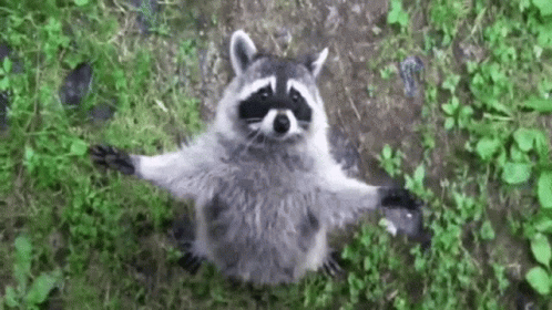0d821bb57743d46566aae3aefc6d8f93.gif