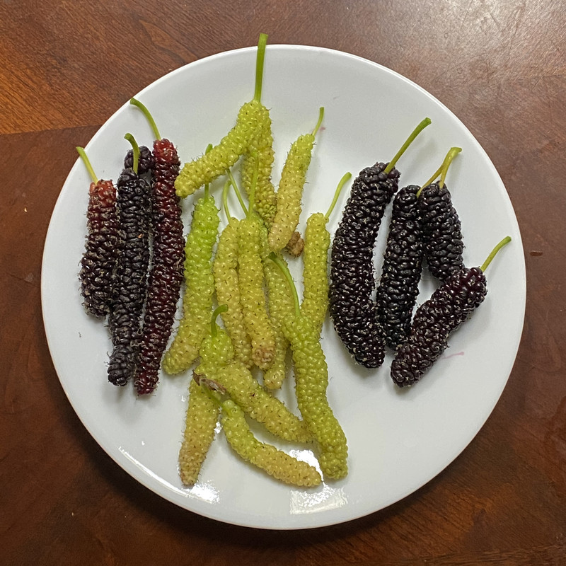 F8CDF95C-E7EC-4453-BBE7-DA46908A2E17