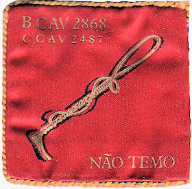 CCav2487
