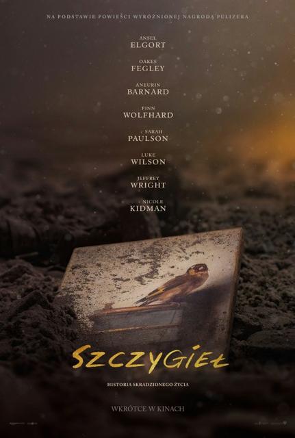 Szczygieł / The Goldfinch (2019) PLSUBBED.480p.AMZN.WEB-DL.XviD.AC3-BETON / POLSKIE NAPISY Szczygieł / The Goldfinch (2019) PLSUBBED.480p.AMZN.WEB-DL.XviD.AC3-BETON / POLSKIE NAPISY